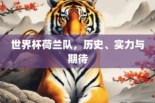 世界杯荷兰队，历史、实力与期待