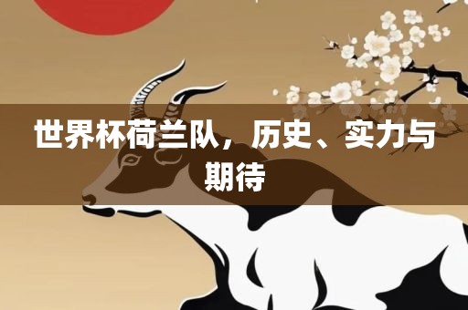 世界杯荷兰队，历史、实力与期待