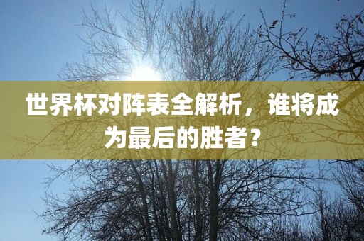 世界杯对阵表全解析，谁将成为最后的胜者？