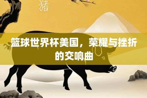 篮球世界杯美国，荣耀与挫折的交响曲