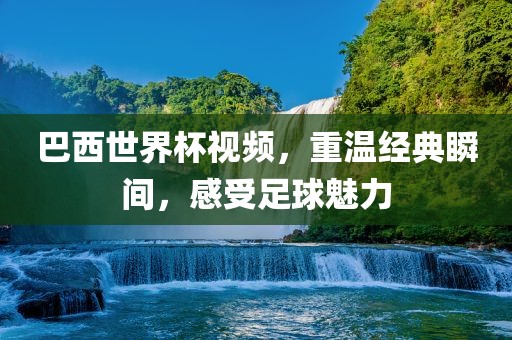 巴西世界杯视频眉山市正发家政服务有限公司，重温经典瞬间，感受足球魅力