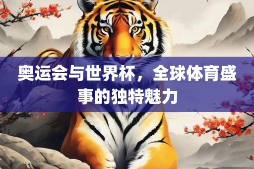 奥运会与世界杯，全球体育盛事的独特魅力