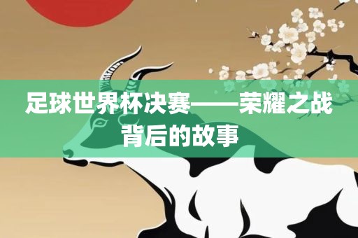 足球世界杯决赛——荣耀之战背后的故事