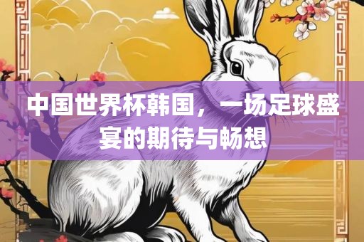 中国世界杯韩国，一场足球盛宴的期待与畅想