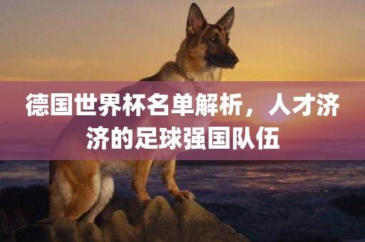 德国世界杯名单解析，人才济济的足球强国队伍
