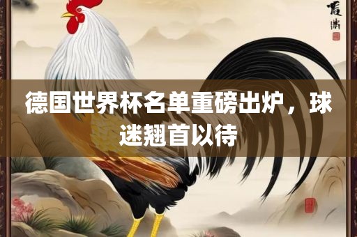 德国世界杯名单重磅出炉，球迷翘首以待