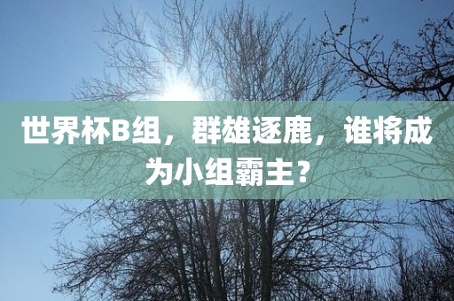 世界杯B组，群雄逐鹿，谁将成为小组霸主？