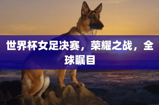 世界杯女足决赛，荣耀之战，全球瞩目