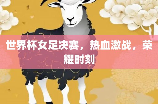 世界杯女足决赛，热血激战，荣耀时刻