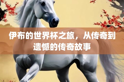 伊布的世界杯之旅，从传奇到遗憾的传奇故事眉山市正发家政服务有限公司