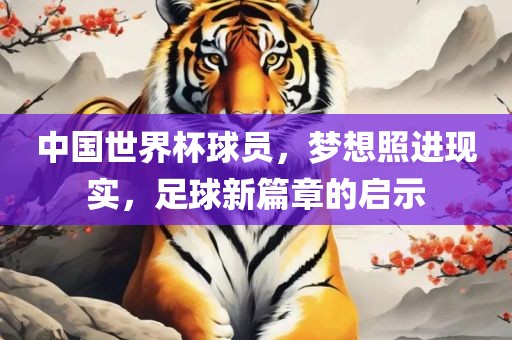 中国世界杯球员，梦想照进现实，足球新篇章的启示