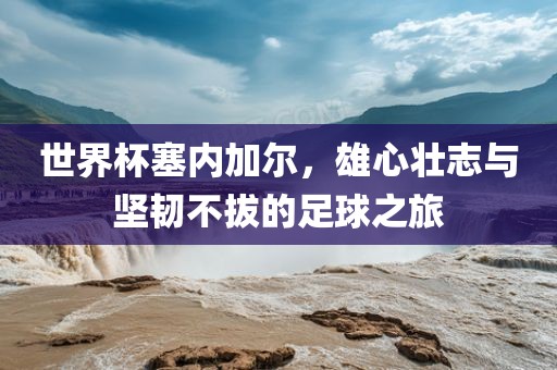 世界杯塞内加尔，雄心壮志与坚韧不拔的足球之旅