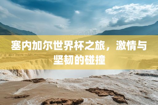 塞内加尔世界杯之旅，激情与坚韧的碰撞