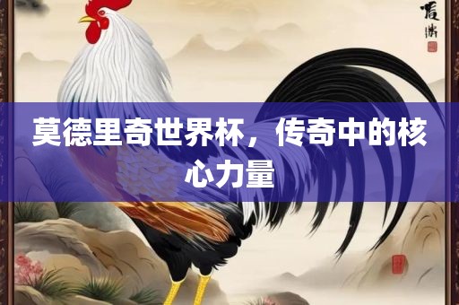 莫德里奇世界杯