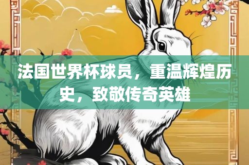 法国世界杯球员，重温辉煌历史，致敬传奇英雄