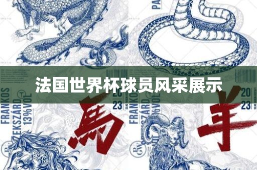 法国世界杯球员风采展示眉山市正发家政服务有限公司