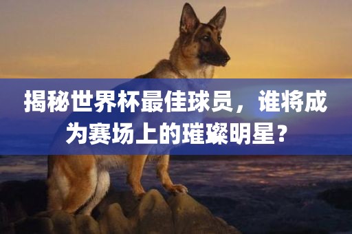 揭秘世界杯最佳球员，谁将成为赛场上的璀璨明星？