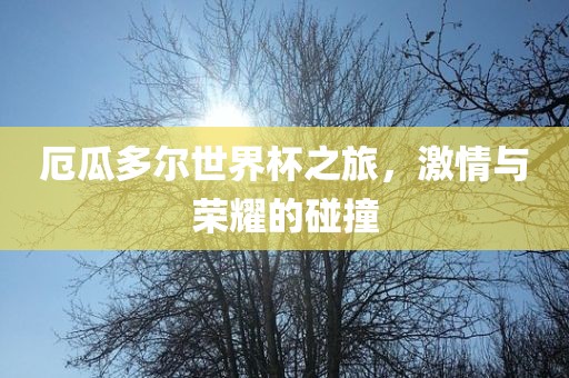 厄瓜多尔世界杯之旅，激情与荣耀的碰撞