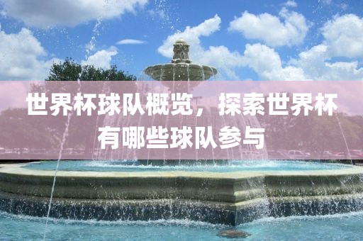 世界杯球队概览，探索世界杯有哪些球队参与