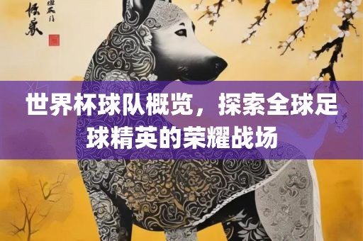 世界杯球队概览，探索全球足球精英的荣耀战场