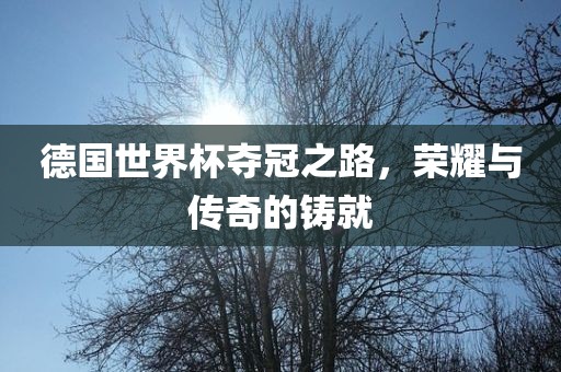 德国世界杯夺冠之路，荣耀与传奇的铸就