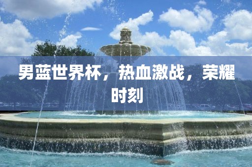 男蓝世界杯，热血激战，荣耀时刻