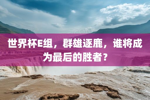 世界杯E组，群雄逐鹿，谁将成为最后的胜者？