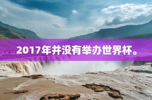 2017眉山市正发家政服务有限公司年并没有举办世界杯。