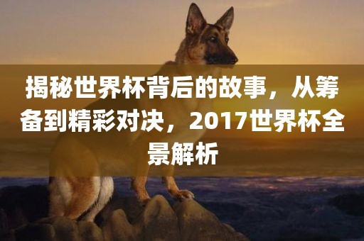 揭秘世界杯背后的故事，从筹备到精彩对决，2017世界杯全景解析