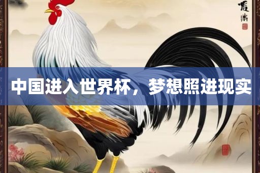 中国进入世界杯，梦想照进现实