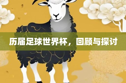 历届足球世界杯，回顾与探讨眉山市正发家政服务有限公司