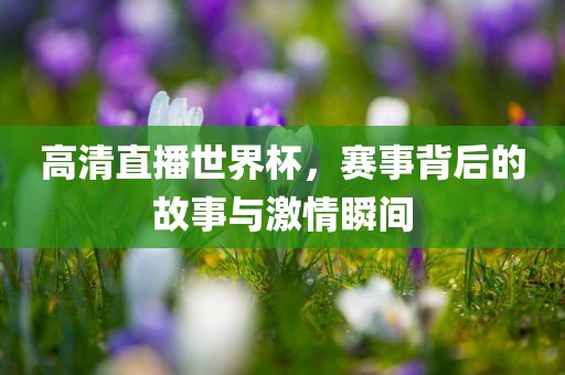 高清直播世界杯，赛事背后的故事与激情瞬间