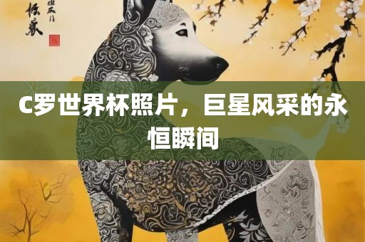 C罗世界杯照片，巨星风采的永恒瞬间