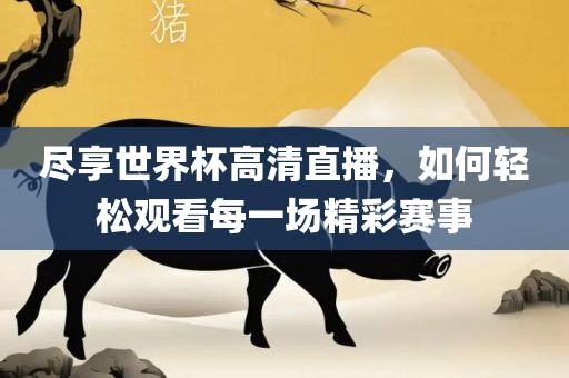 尽享世界杯高清直播，如何轻松观看每一场精彩赛事