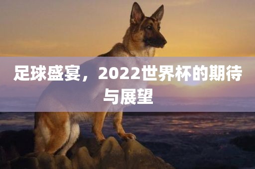 足球盛宴，2022世界杯的期待与展望