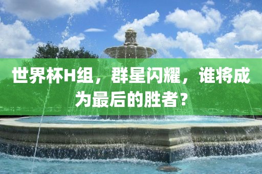 世界杯H组，群星闪耀，谁将成为最后的胜者？