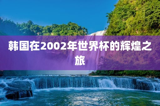 韩国在2002年世界杯的辉煌之旅