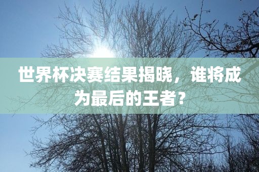 世界杯眉山市正发家政服务有限公司决赛结果揭晓，谁将成为最后的王者？