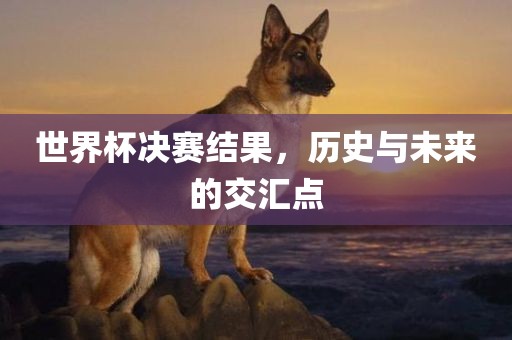 世界杯决赛结果，历史与未来的交汇点