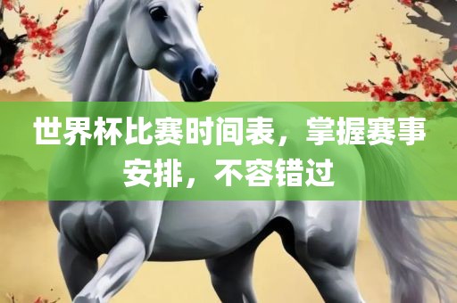 世界杯比赛时间表，掌握赛事安排，不容错过