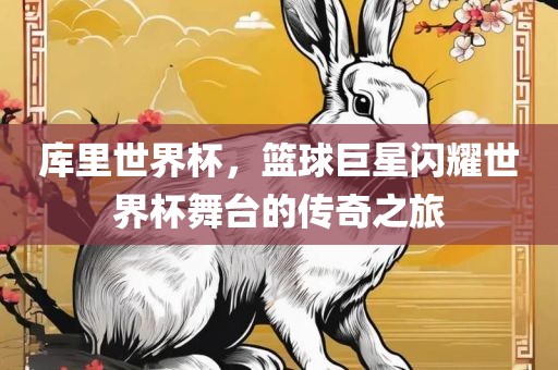 库里世界杯，篮球巨星闪耀世界杯舞台的传奇之旅