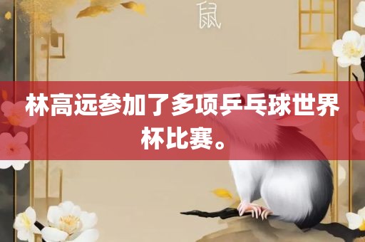 林高远参加了多项乒乓球世界杯比赛。