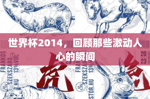 世界杯2014，回顾那些激动人心的瞬间