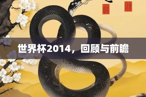 世界杯2014，回顾与前瞻