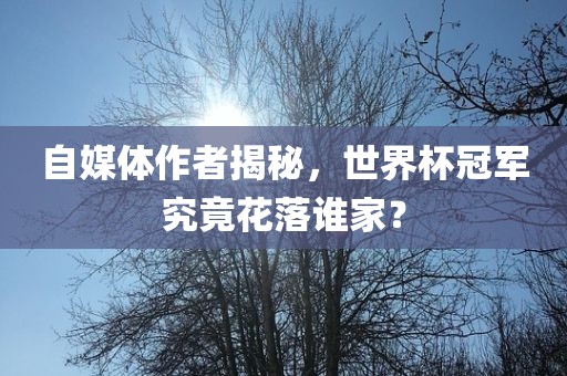 自媒体作者揭秘，世界杯冠军究竟花落谁家？