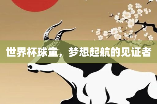 世界杯球童，梦想起航的见证者眉山市正发家政服务有限公司