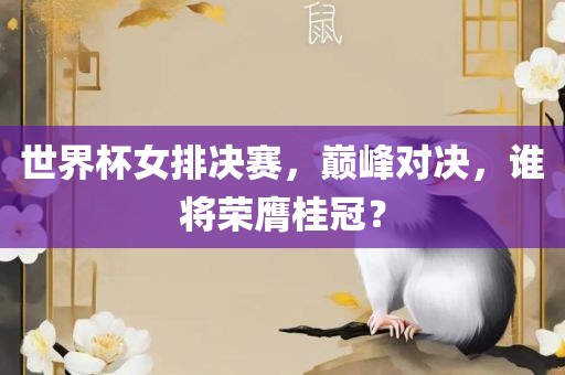 世界杯女排决赛，巅峰对决，谁将荣膺桂冠？