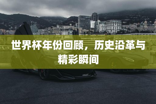 世界杯年份回顾，历史沿革与精彩瞬间眉山市正发家政服务有限公司