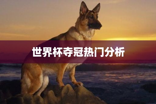 世界杯夺冠热门分析