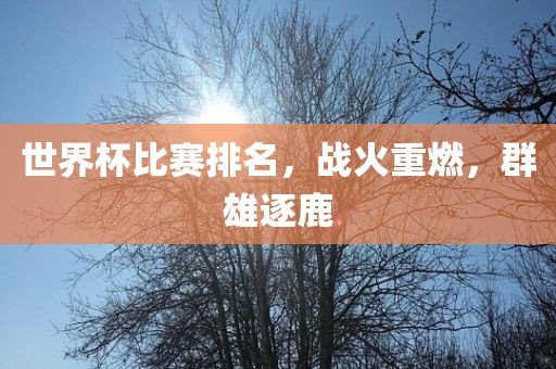 世界杯比赛排名，战火重燃，群雄逐鹿